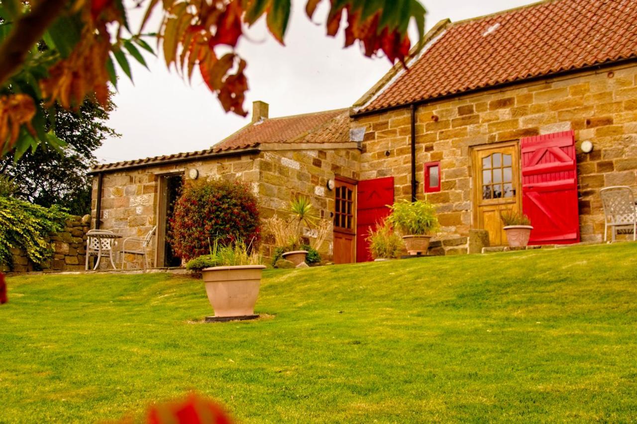 Rosecombe, Borrowby Farm Cottages Staithes Εξωτερικό φωτογραφία