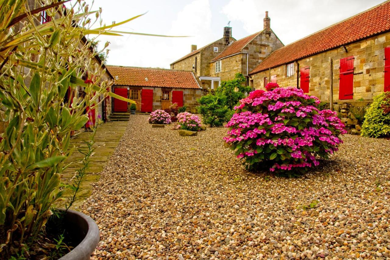 Rosecombe, Borrowby Farm Cottages Staithes Εξωτερικό φωτογραφία