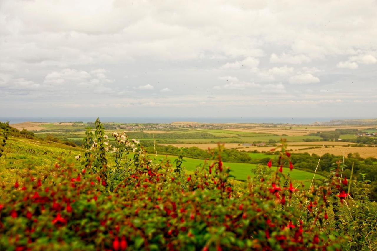 Rosecombe, Borrowby Farm Cottages Staithes Εξωτερικό φωτογραφία